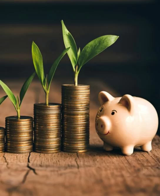 Không chuộc đúng hạn có bị mất tài sản không?